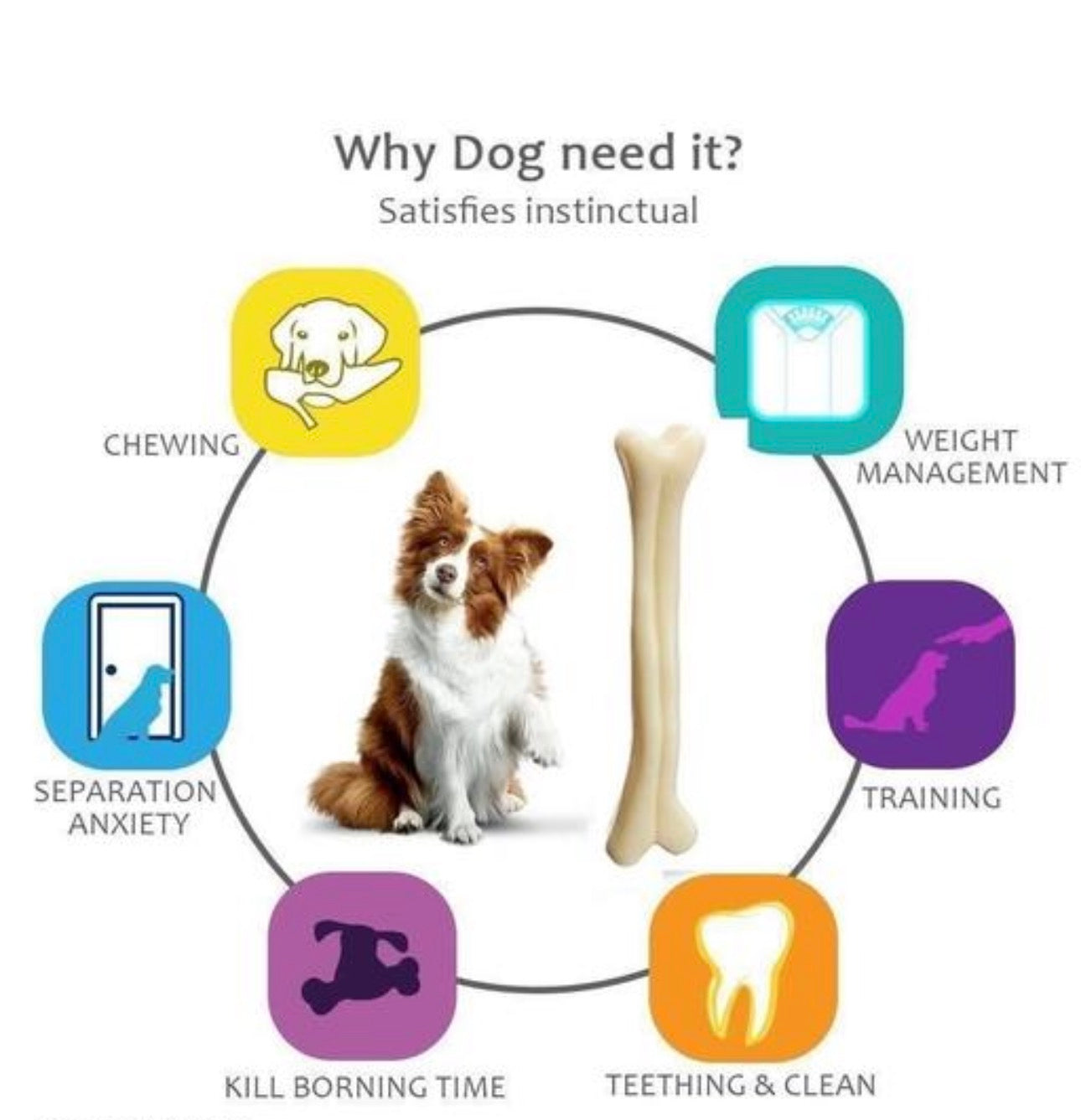 Nylon Bone Chew Toy (Pack of 2)