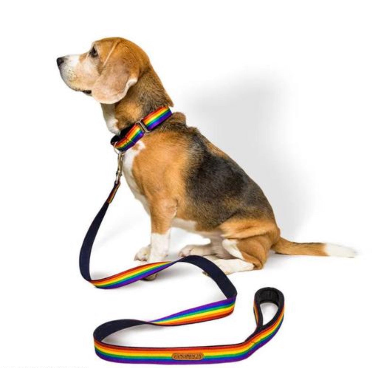 Rainbow Collar & Leash Combo