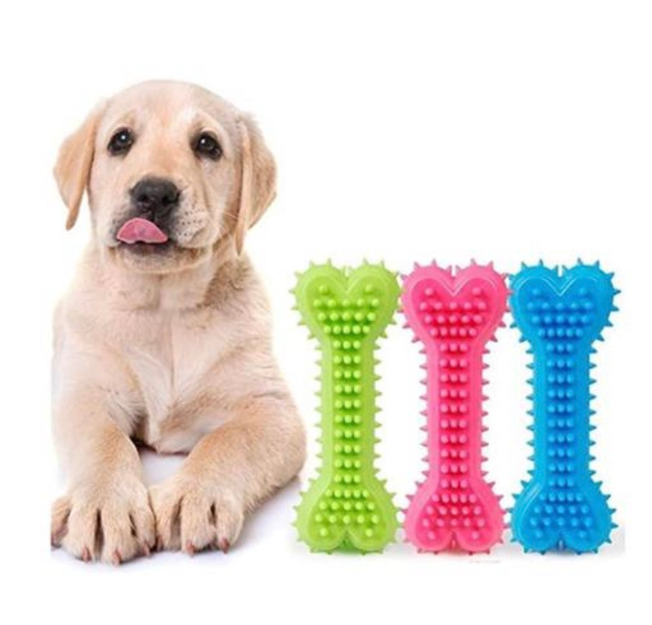 Rubber Chew Bone (Pack of 1)