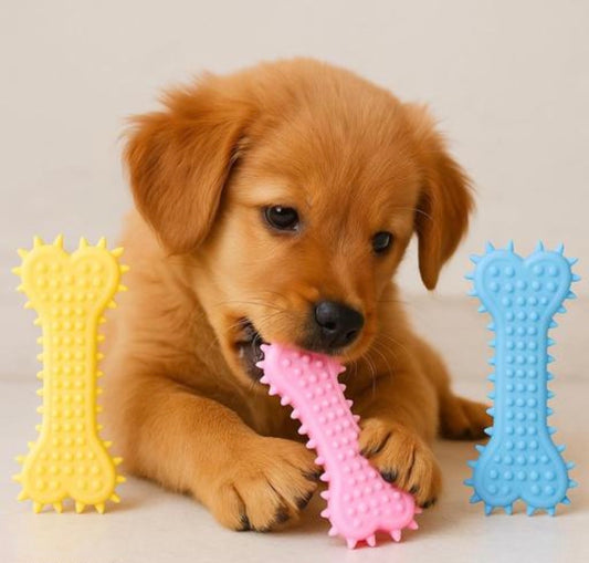 Rubber Chew Bone (Pack of 1)