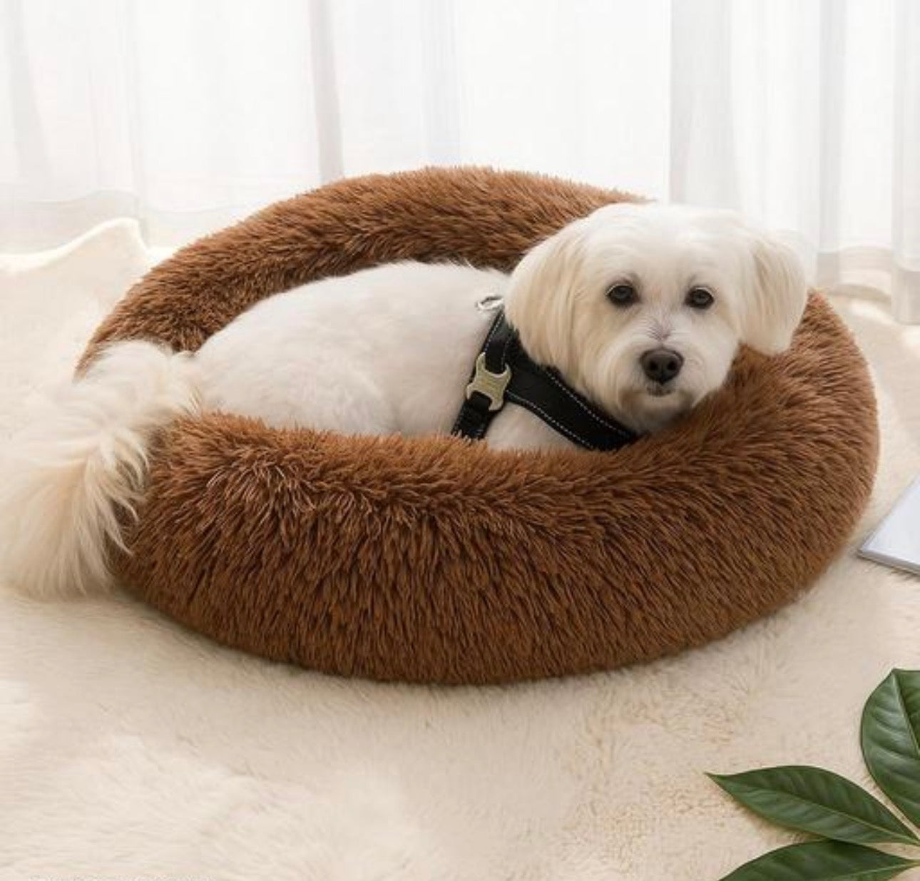 Cozy Cushion Pet Bed (S)