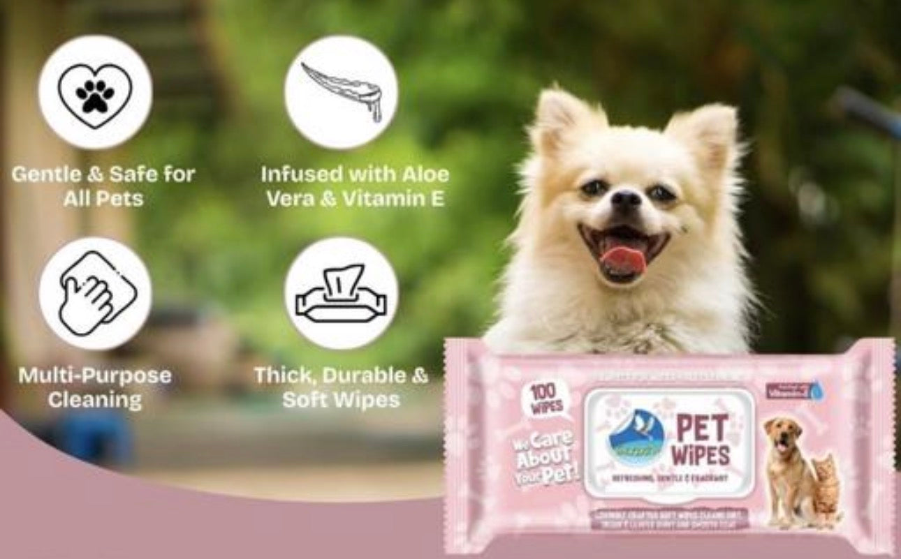 Pet Wipes ( Pack of 1 (100wipes)