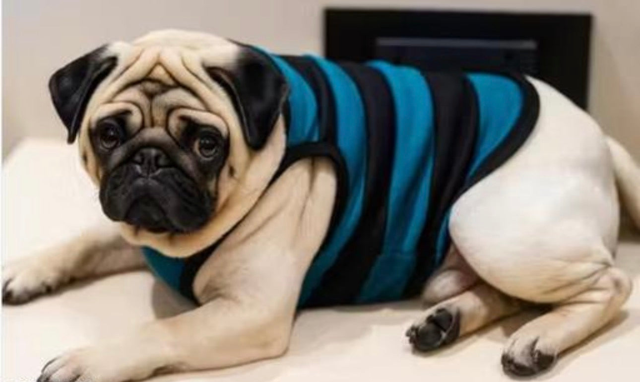 Stripped Dog Vest