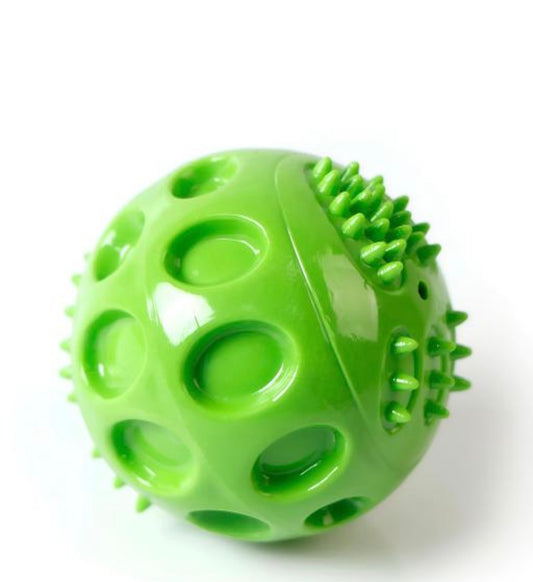 Squeaky & Chew Ball Toy