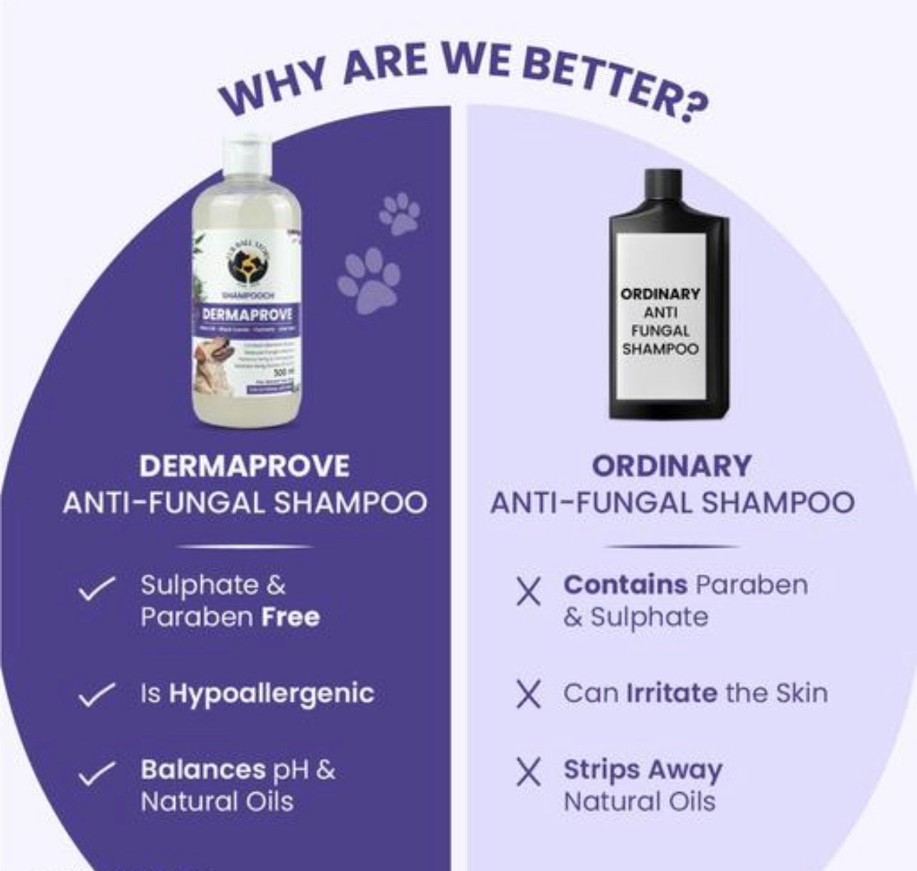 Fur Ball Story Dermaprove: Antifungal Dog Shampoo (300ml)