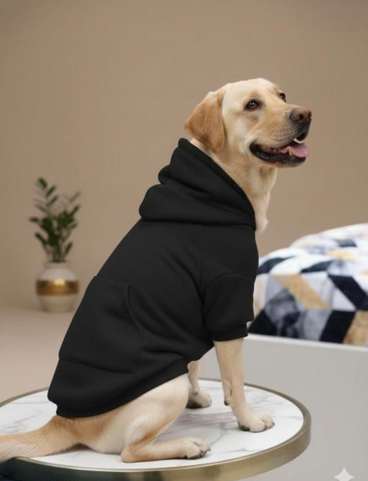 Dog Hoodie For Winter