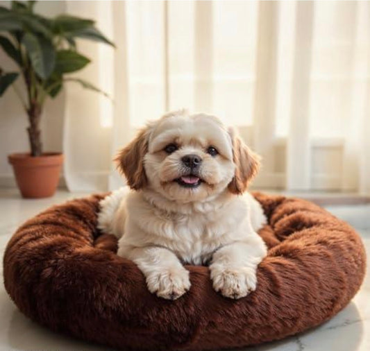 Cozy Cushion Pet Bed (S)