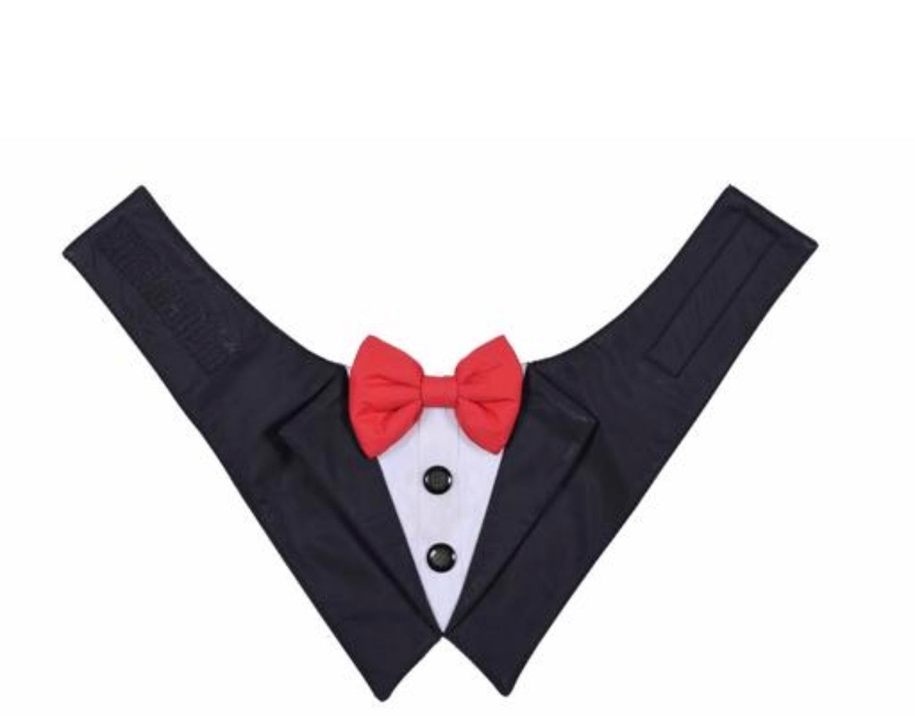 PawinStyle Blazer Bandana