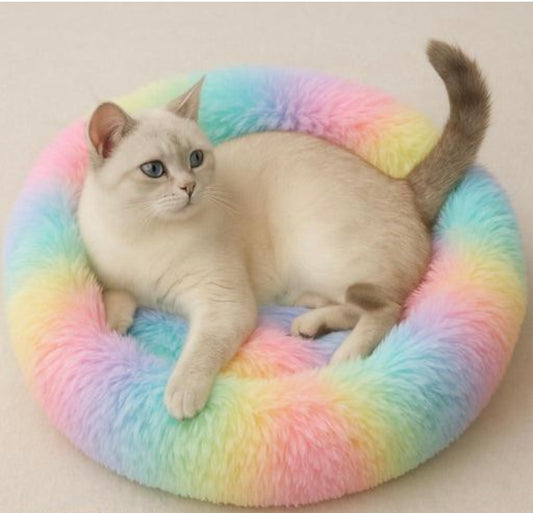 Cozy Rainbow Pet Bed (S)