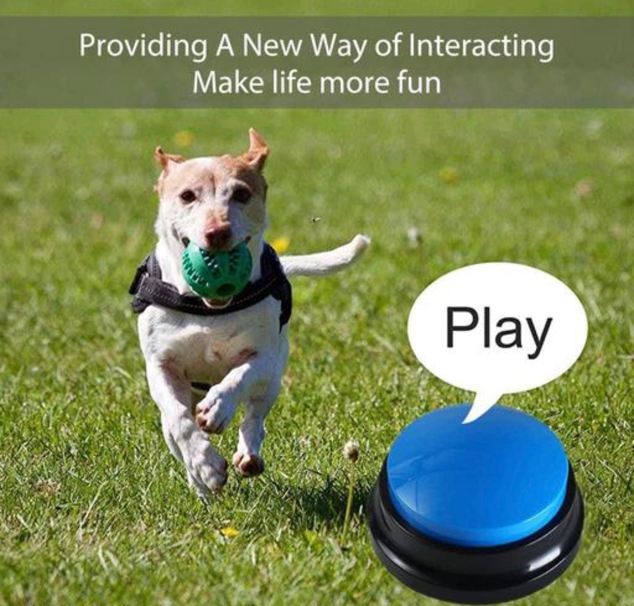 Pet Training Voice Button